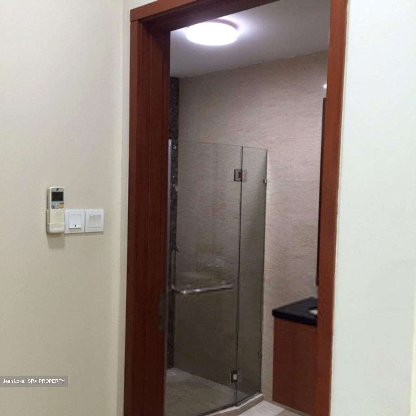 The Aston (D10), Apartment #399807861